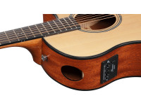 Ibanez AAM50CE-OPN Ibanez AAM50CE-OPN